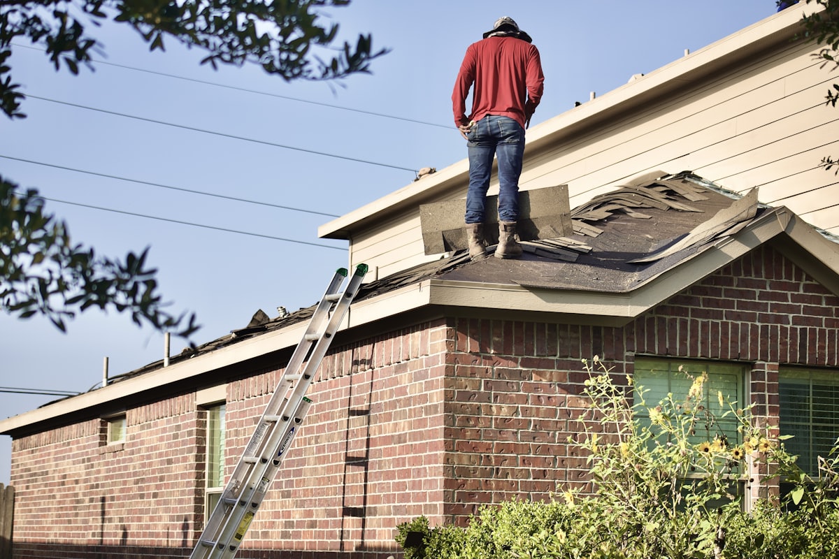 Tradesperson in work clothes and boots standing on a house roof beside an aluminium ladder